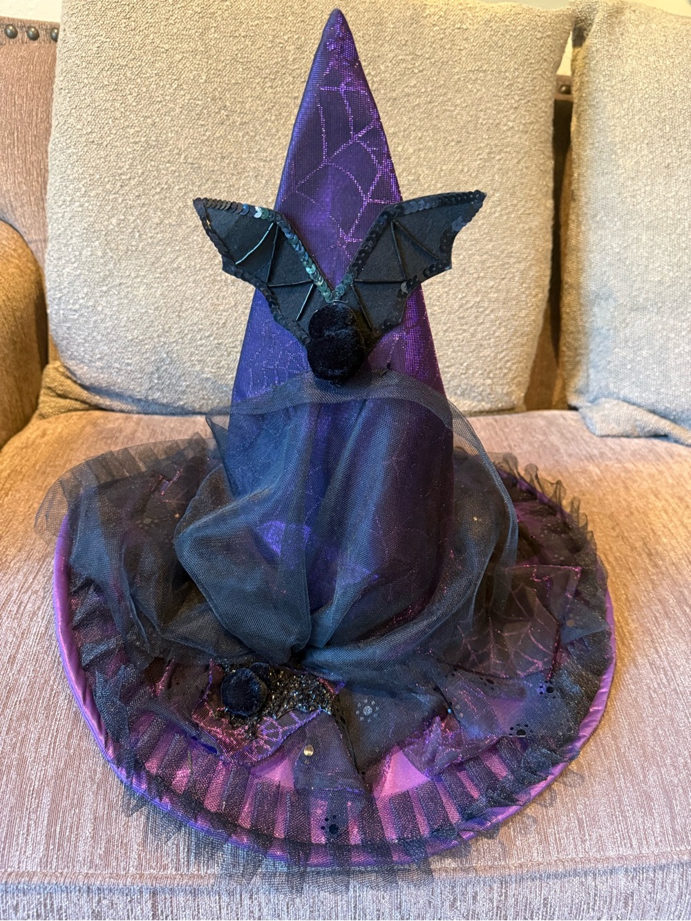 Purple Witch Hat women’s Costume Accessory
